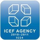 Обучение за рубежом ICEF