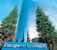 Обучение за рубежом European University