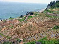 Обучение за рубежом Eurocentres Японский язык