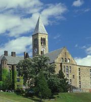 Летние профессиональные программы в Cornell University, США