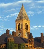 Летние профессиональные программы в Cornell University, США