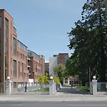 Обучение за рубежом - Английский язык в Ирландии, Emerald Cultural Institute