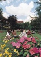 Английский язык для взрослых в Wimbledon School of English, London