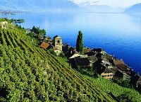 Мастерская программа GLION Master of Business Administration